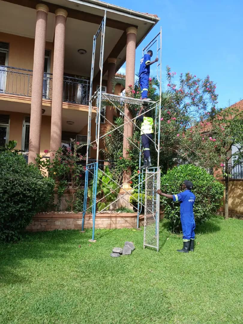 The Importance of Regular Pest Control for Your Business